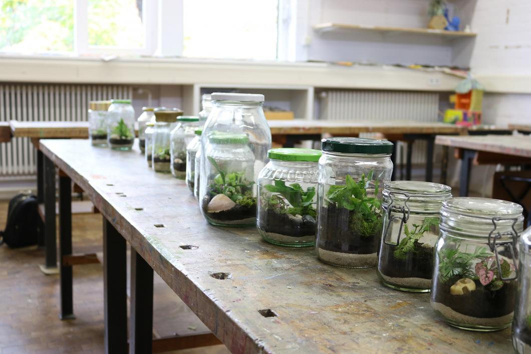Gläser mit Pflanzen auf einem Tisch
